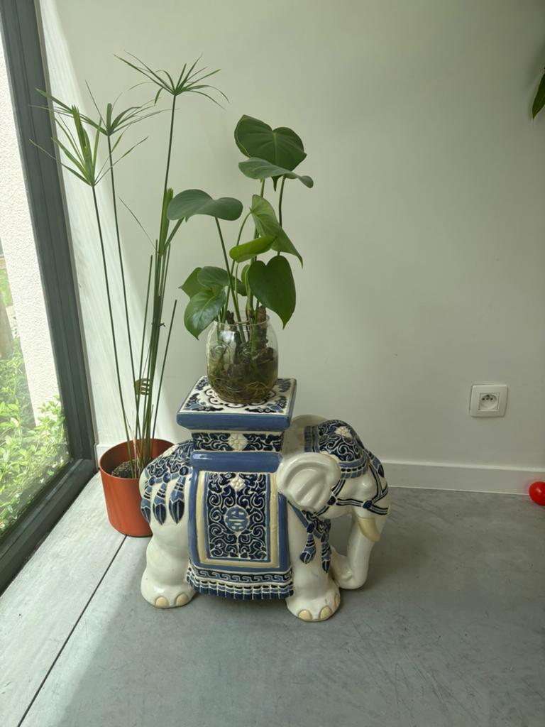 Plantentafel olifant - 2 stuks, Ophalen