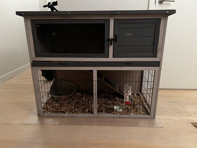 Groot hok voor knaagdier, Animaux & Accessoires, 90 cm ou plus, Niche, Enlèvement, 110 cm ou plus