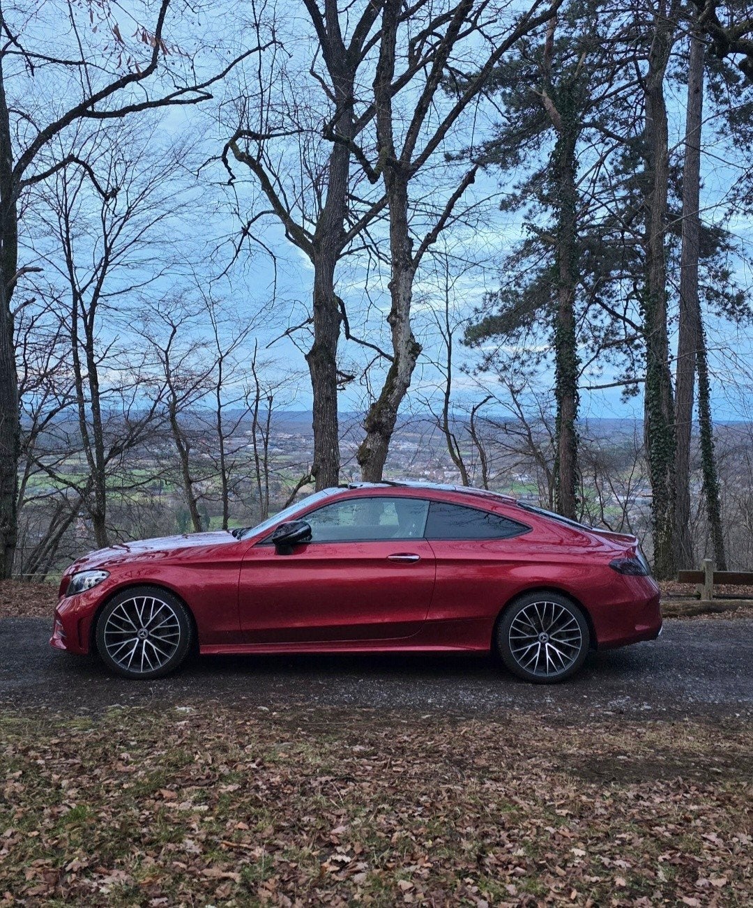 Mercedes-Benz c220d, Autos, Achat, Entreprise, Toit ouvrant, Automatique