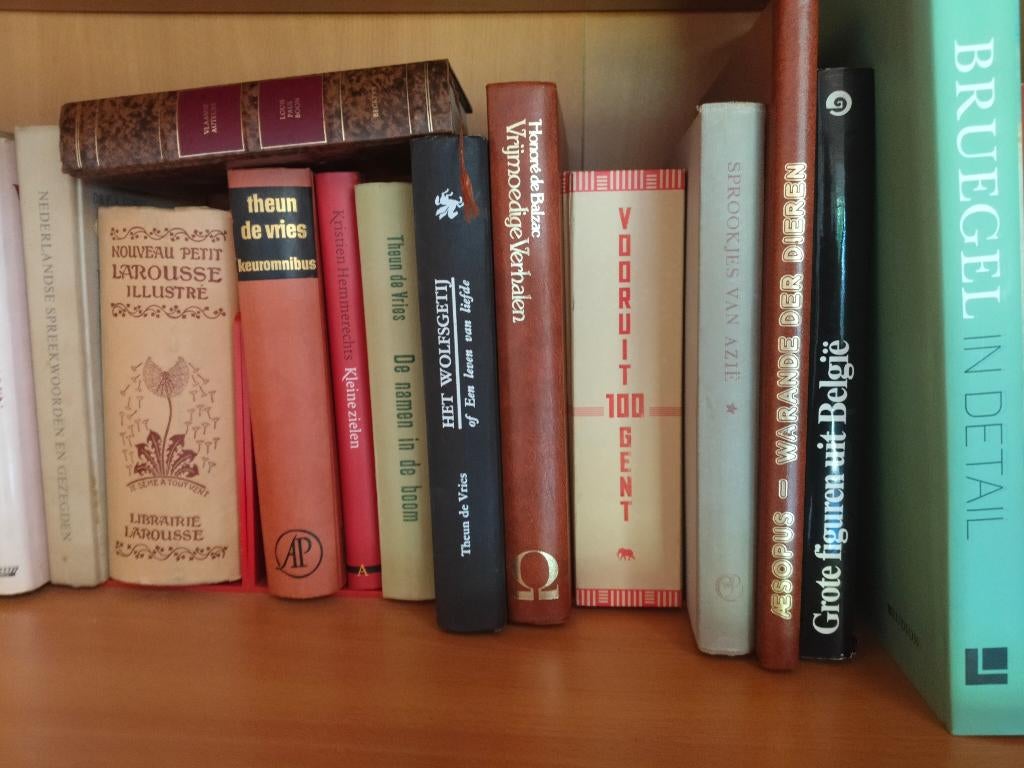 boeken diverse, Boeken, Ophalen, Gelezen