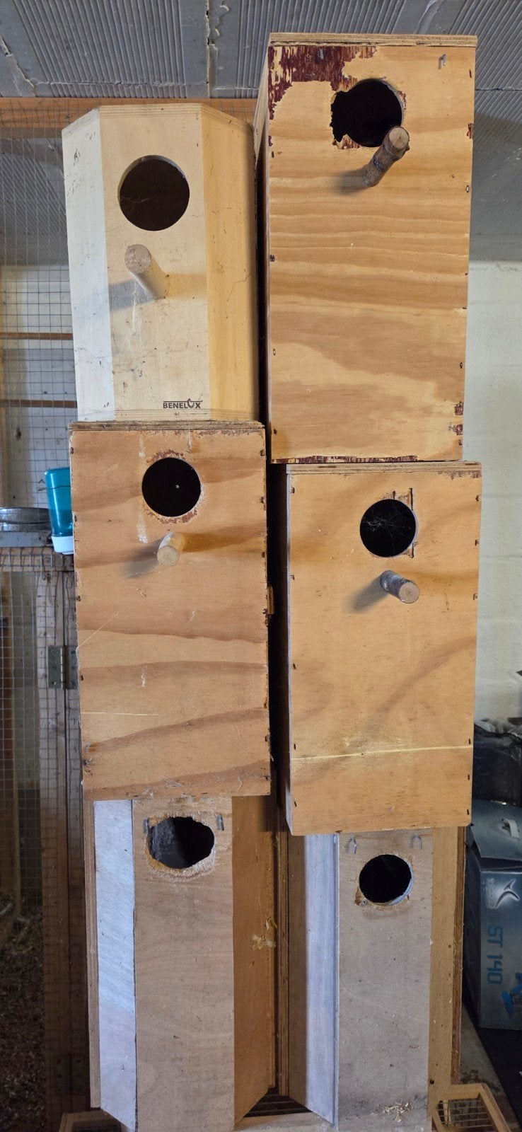Pyrrhura nestkasten, Ophalen, Gebruikt, Hout, Broedkooi of Kweekkooi