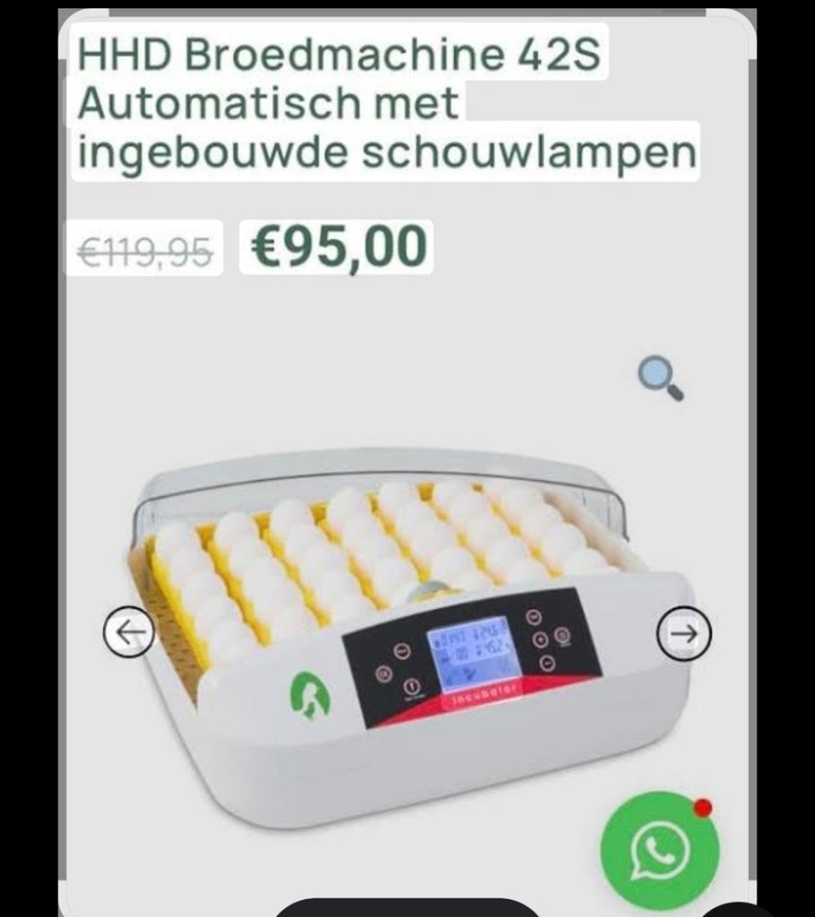 Hhd broedmachine 42s, Dieren en Toebehoren