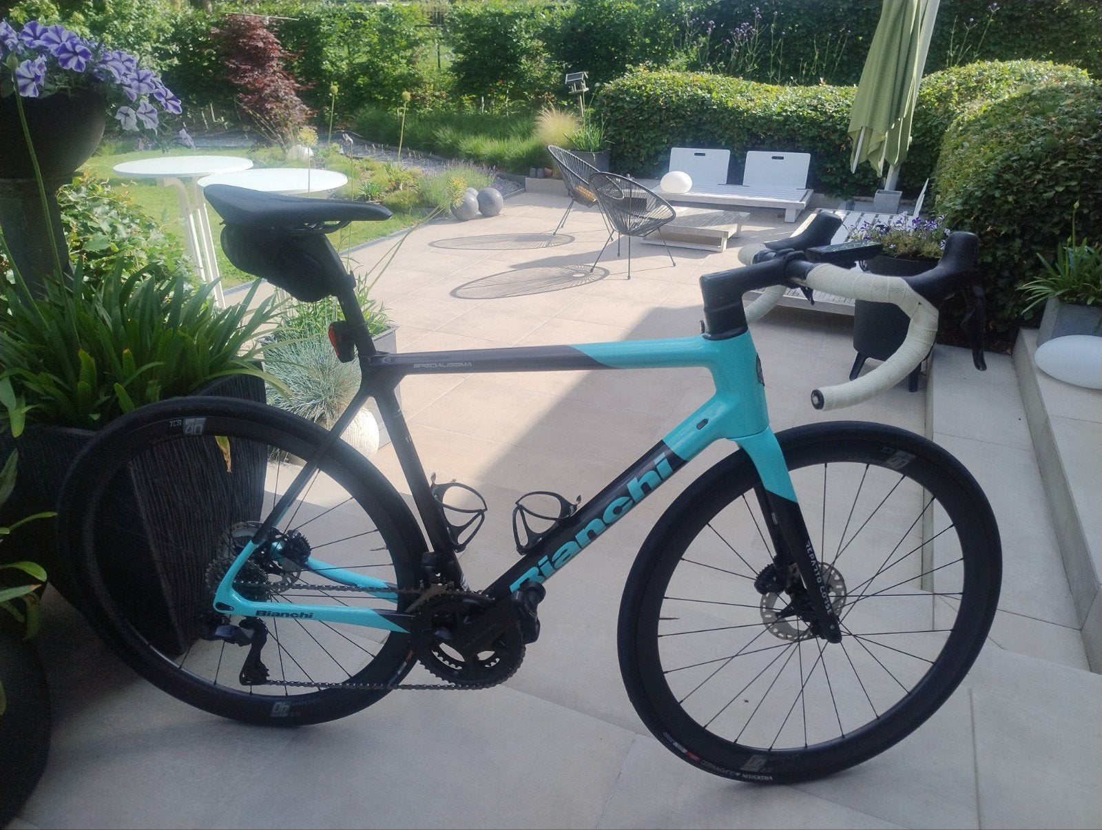 Bianchi specialissima, Enlèvement