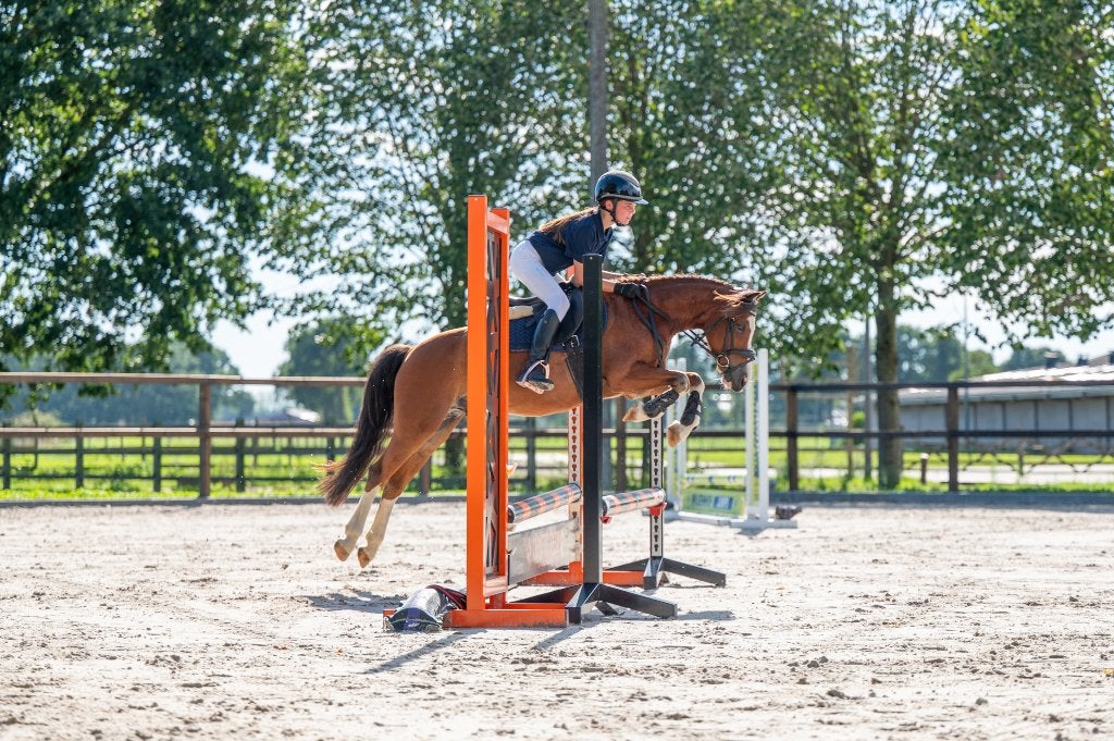 Mooie springpony te koop || ESHA Veiling 9 - 12/10/2026, B, Ruin, Springpony, 3 tot 6 jaar