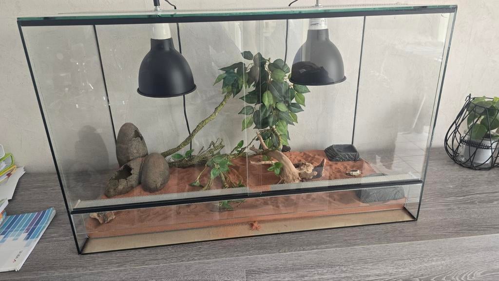 Voor Pogona of ..., Dieren en Toebehoren