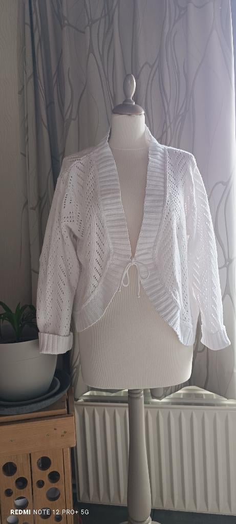 Gilet blanc en tricot creux, taille XL. 😍, Vêtements | Femmes, Taille 46/48 (XL) ou plus grande, Enlèvement ou Envoi, Zara, Comme neuf