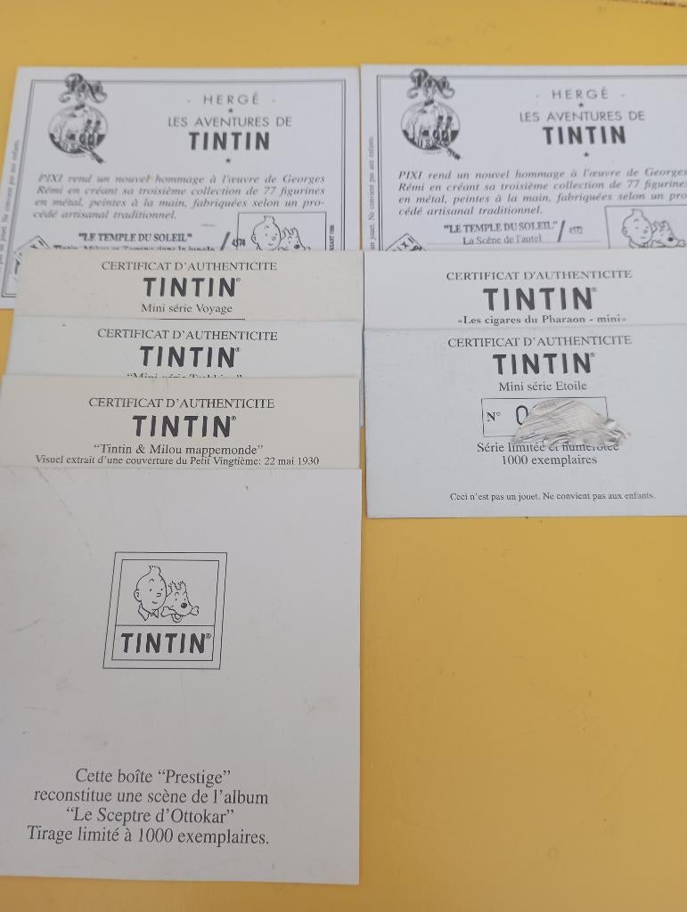 1 certificat pixi Tintin tbe, Collections, Statues & Figurines, Utilisé, Fantasy, Envoi