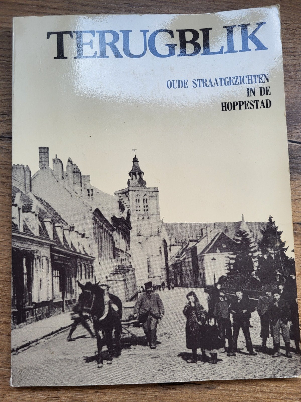Terugblik - Oude straatgezichten Poperinge, Enlèvement ou Envoi