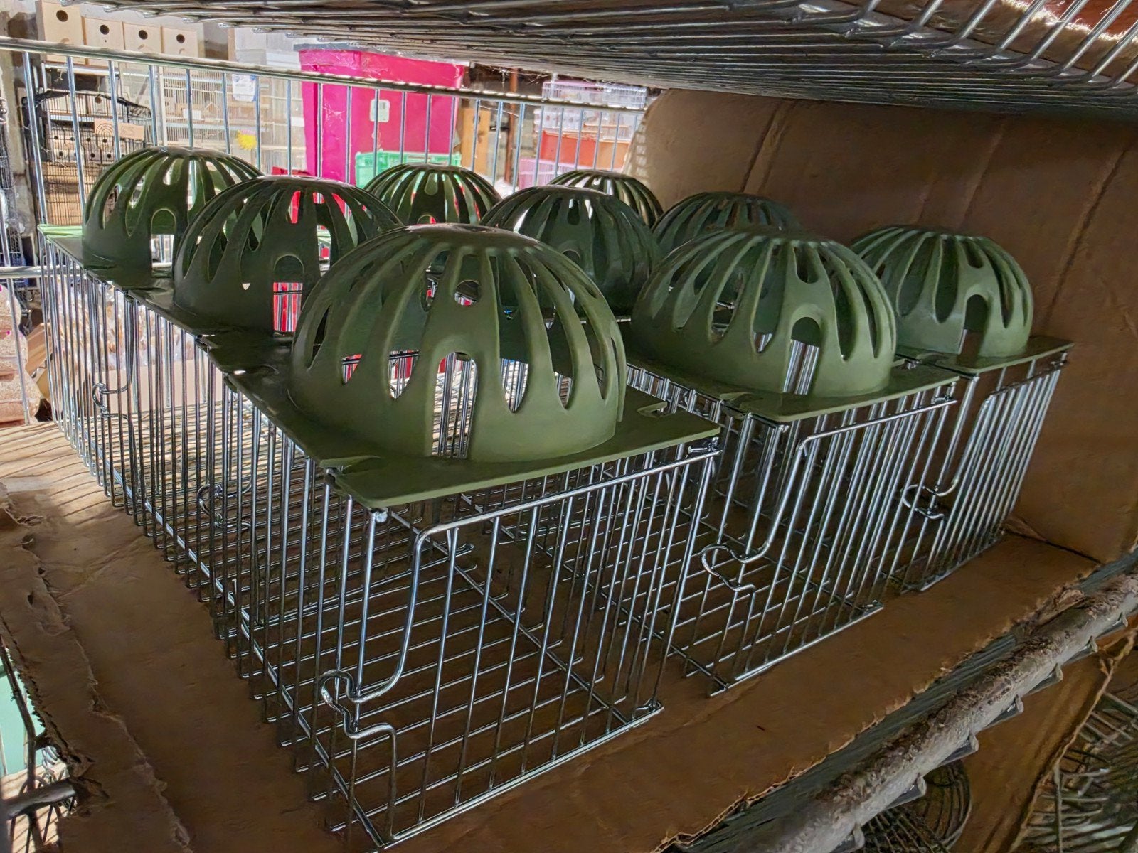 Buitennest Kunststof mand "GROEN" STA, Ophalen, Nieuw, Kooi-accessoires