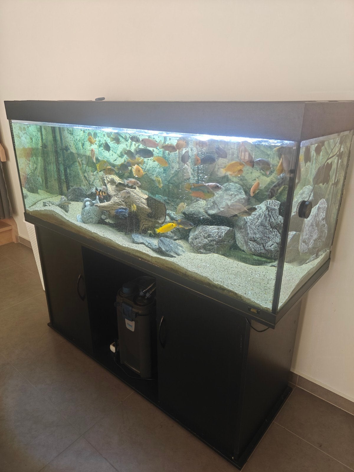 Aquarium juwel 450, Animaux & Accessoires, Poissons | Aquariums & Accessoires, Enlèvement, Chauffage, Juwel