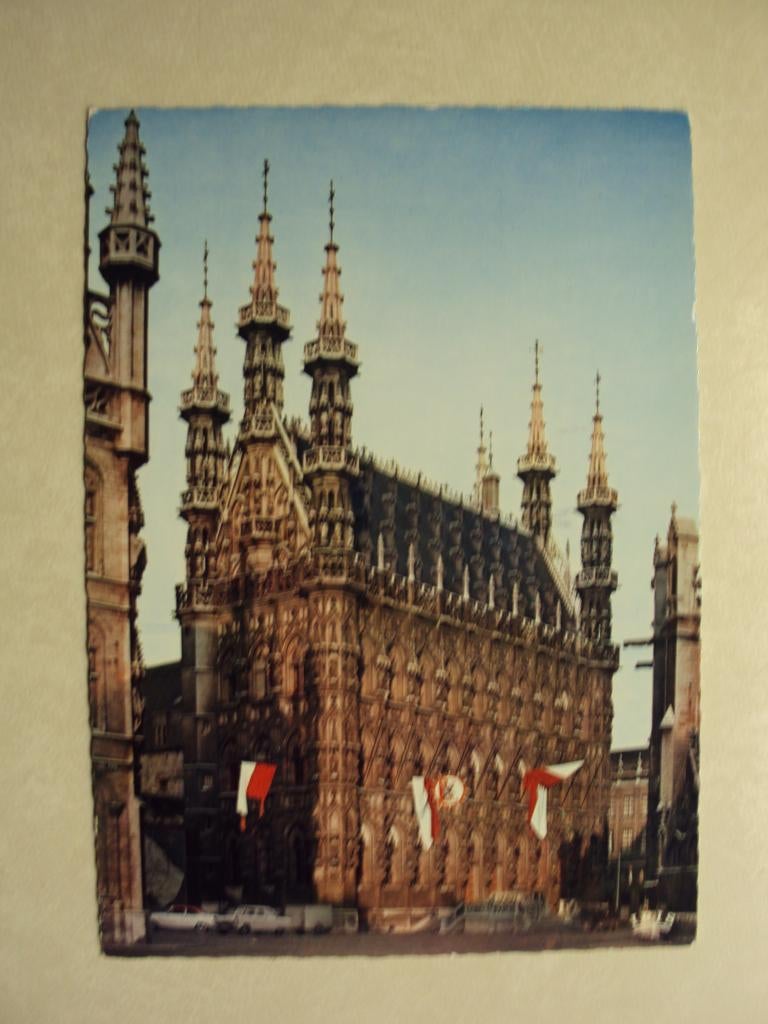 55290 - LEUVEN - STADHUIS - ZIE 2 FOTO'S, Verzenden