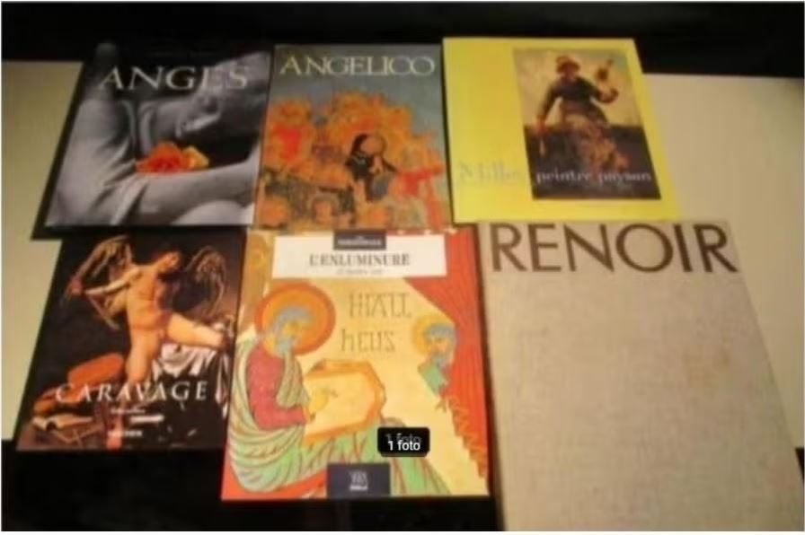 6 Prima Franstalige Kunstboeken, Ophalen of Verzenden, Zo goed als nieuw, Schilder- en Tekenkunst