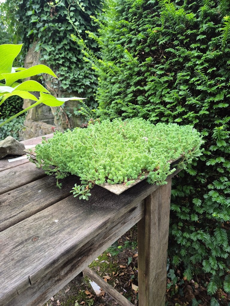Plantenschalen, Tuin en Terras, Ophalen, Gebruikt, Steen, Tuin