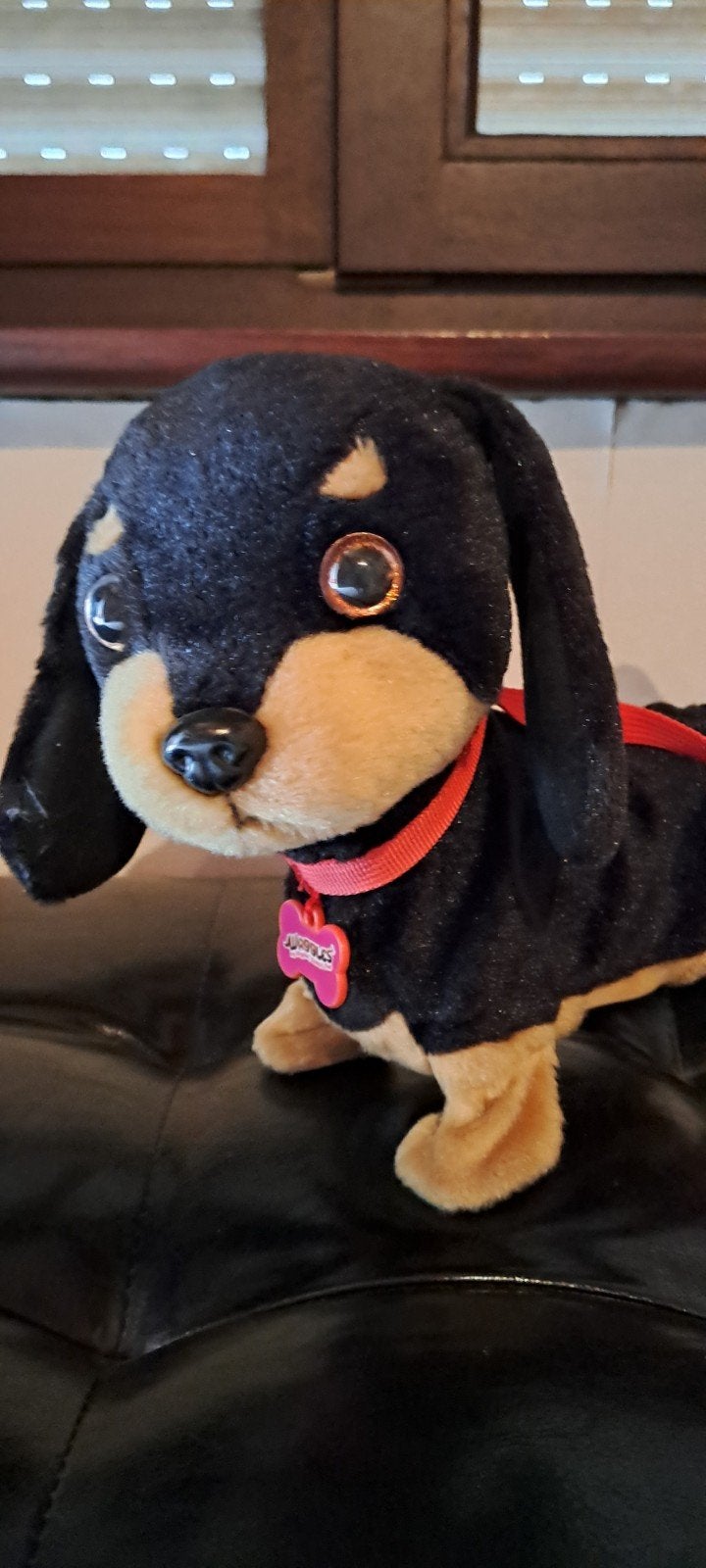 Puppy die wandelt en blaft, Ophalen
