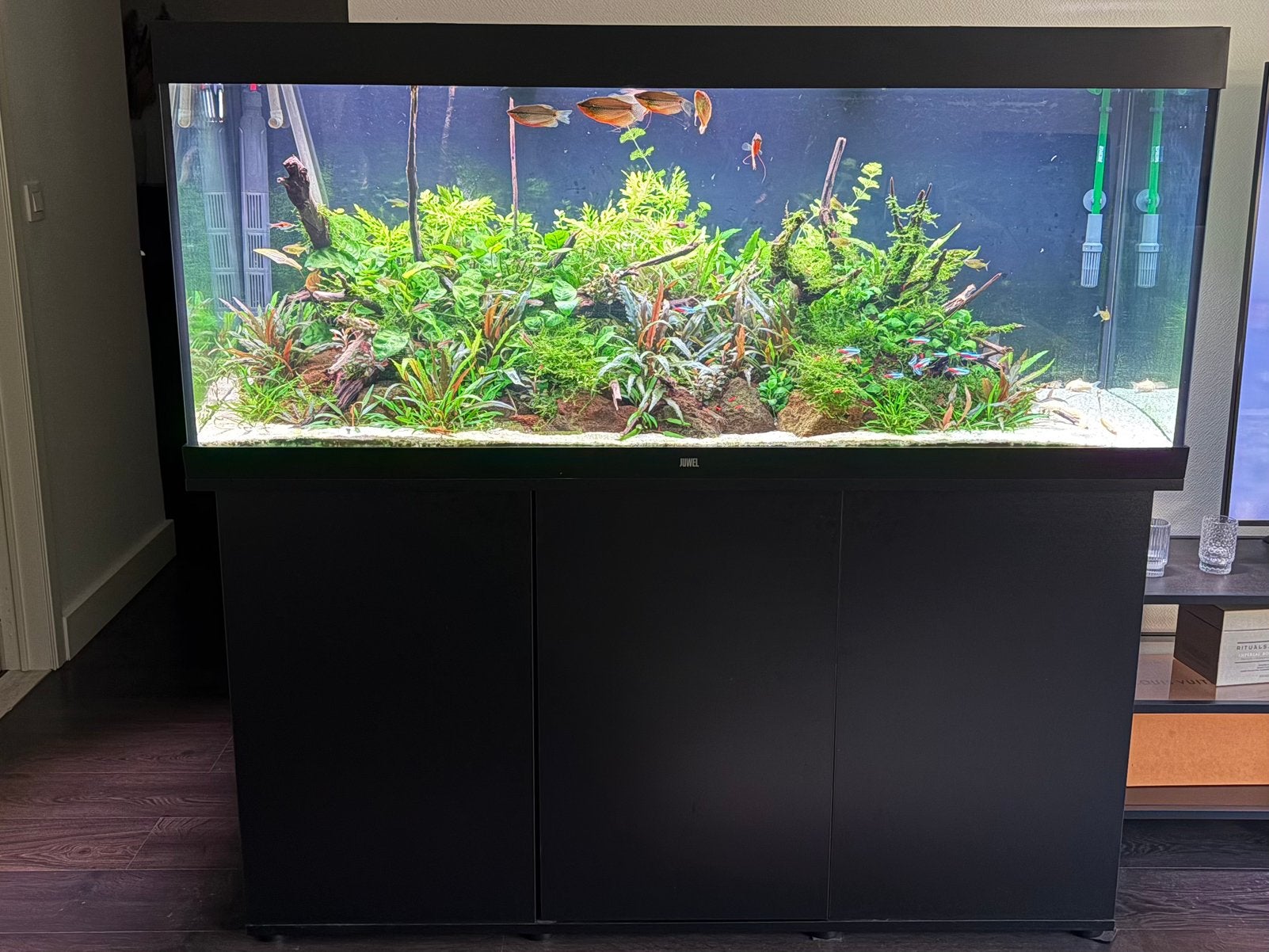 Juwel Rio 450 compleet aquarium – extra techniek, Dieren en Toebehoren, Ophalen, Zo goed als nieuw, Juwel, Aquariummeubel