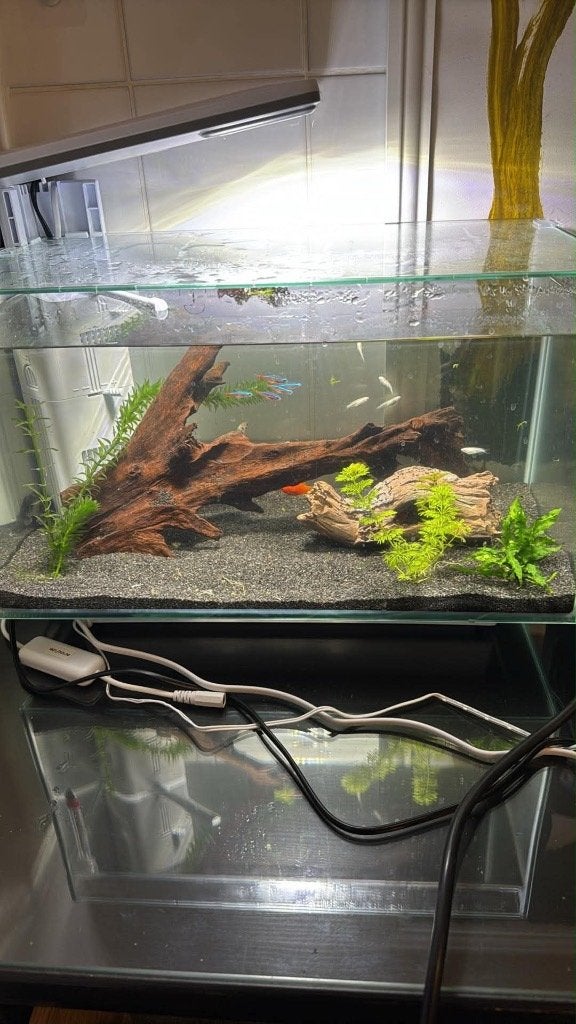 Aquarium, Ophalen, Zo goed als nieuw, Leeg aquarium, Inclusief deksel