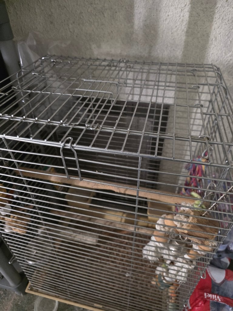 Vogelkooi tafelmodel, Ophalen, Gebruikt, Metaal, Vogelkooi