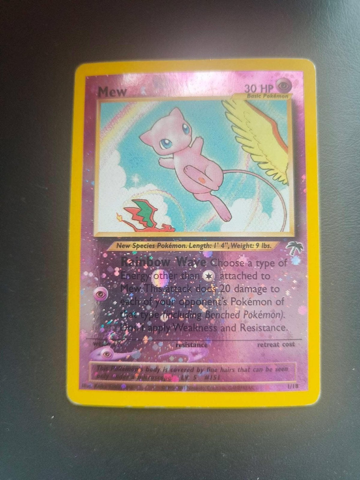 Mew southern island 1/18, Ophalen of Verzenden, Zo goed als nieuw