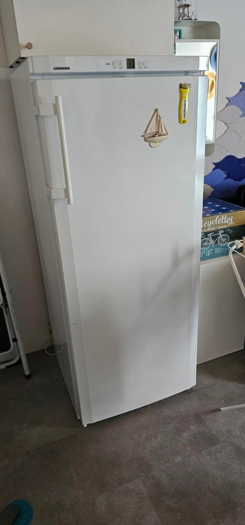 Récente ijskast te koop in Koksijde, Ophalen, Zo goed als nieuw, Energieklasse A of zuiniger, 140 tot 160 cm