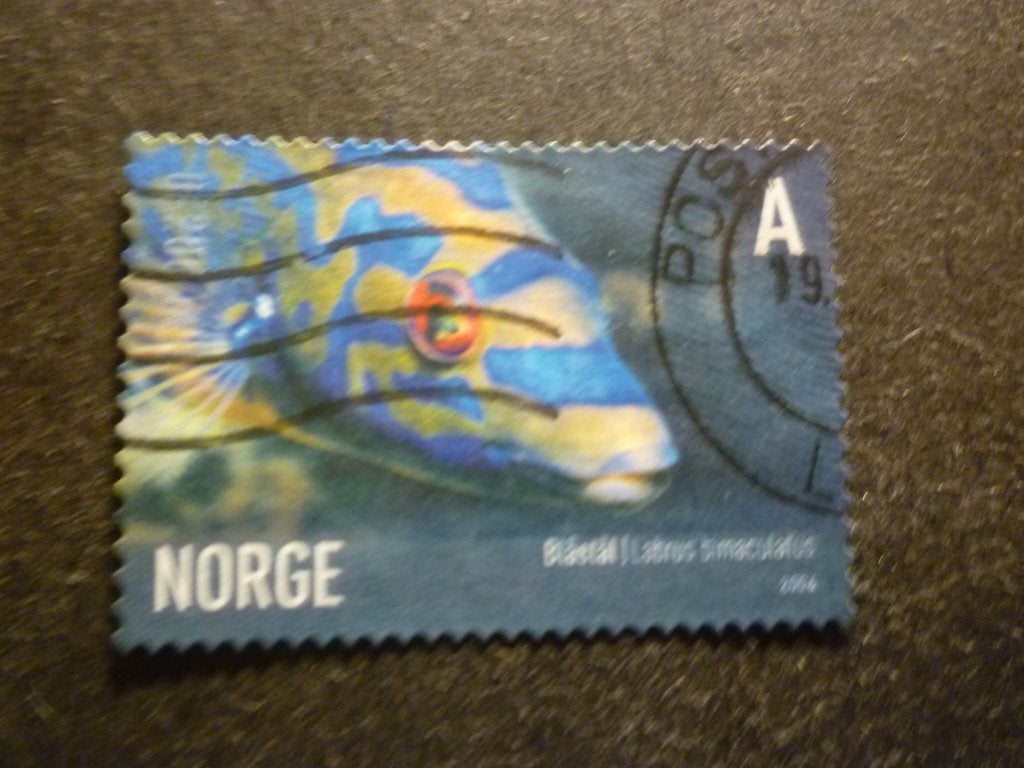 Noorwegen/Norvège 2006 Mi 1590(o) Gestempeld/Oblitéré, Postzegels en Munten, Postzegels | Europa | Scandinavië, Verzenden, Noorwegen