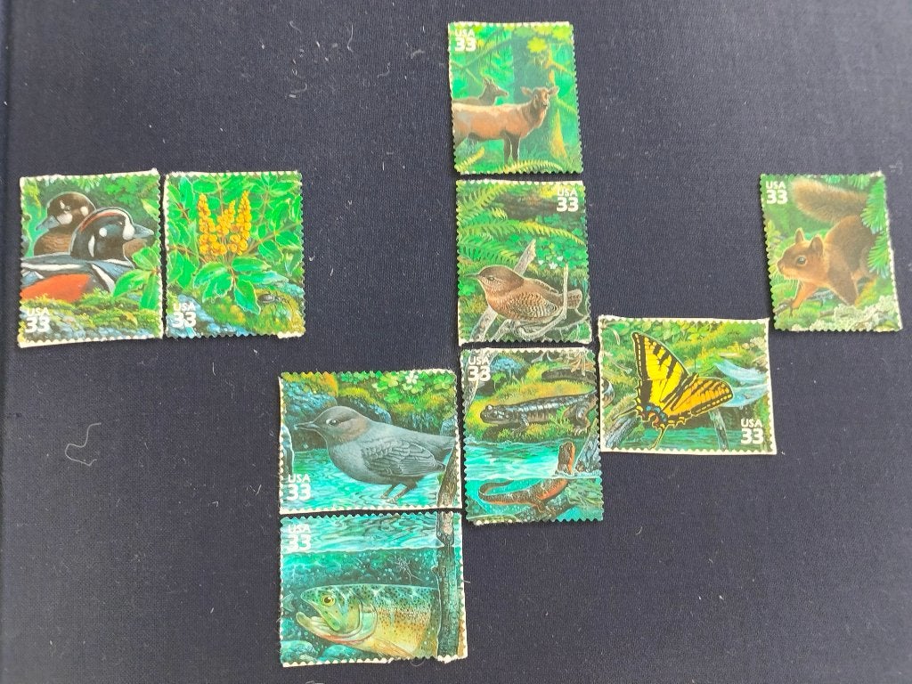 USA 2000 - Regenwoud aan de Pacifische kust - vogels ...**, Verzenden, Postfris, Noord-Amerika