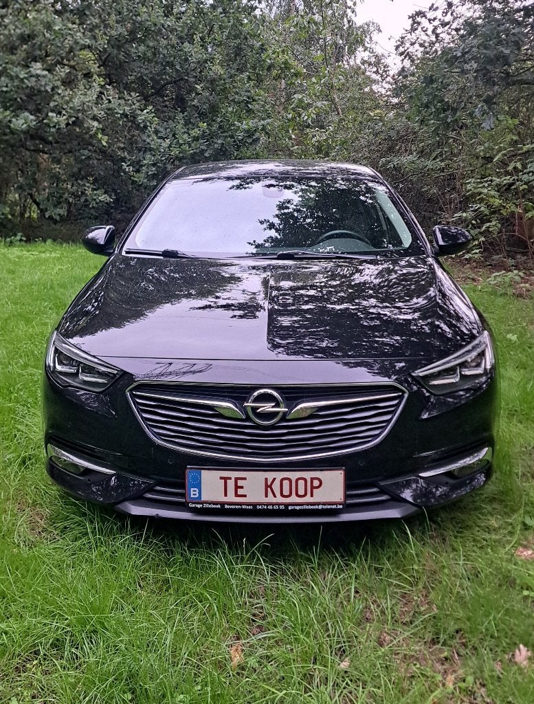 Opel Insignia GS:87.000km+veel opties+garantie+groot nazicht, Cuir, https://public.car-pass.be/vhr/289d9308-795d-4e61-911f-cb49ad46a698