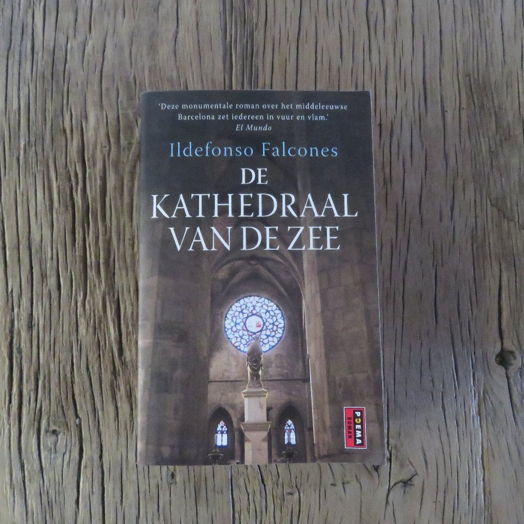 Ildefonso Falcones De kathedraal van de zee, Boeken, Ophalen of Verzenden