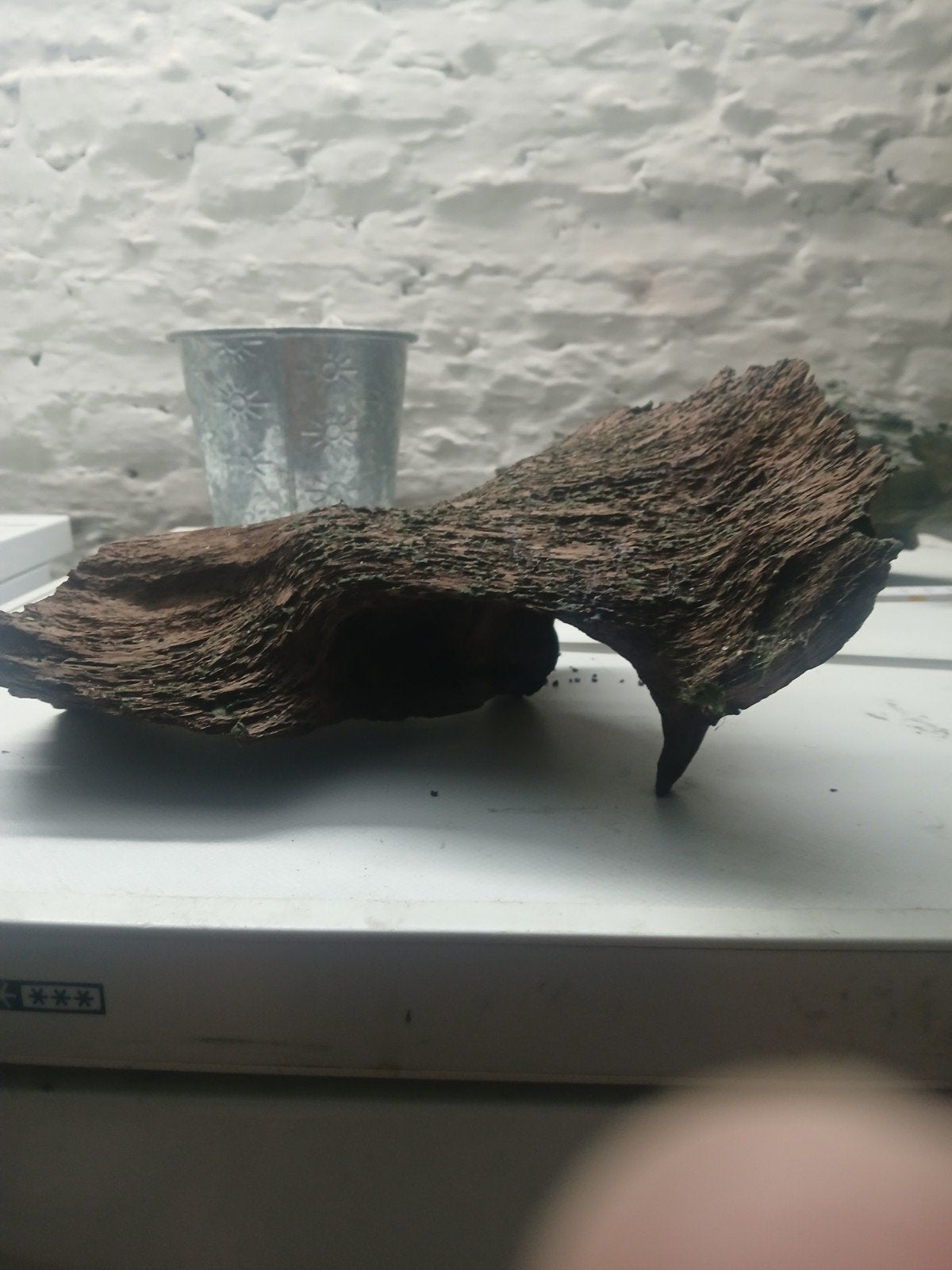 Pièce de bois pour aquarium, Animaux & Accessoires, Enlèvement