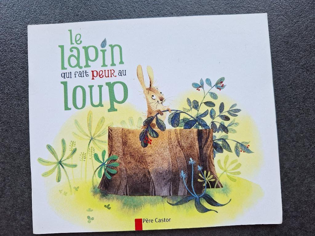 Le lapin qui fait peur au loup - père castor, Ophalen, 3 tot 4 jaar, Père castor, Zo goed als nieuw