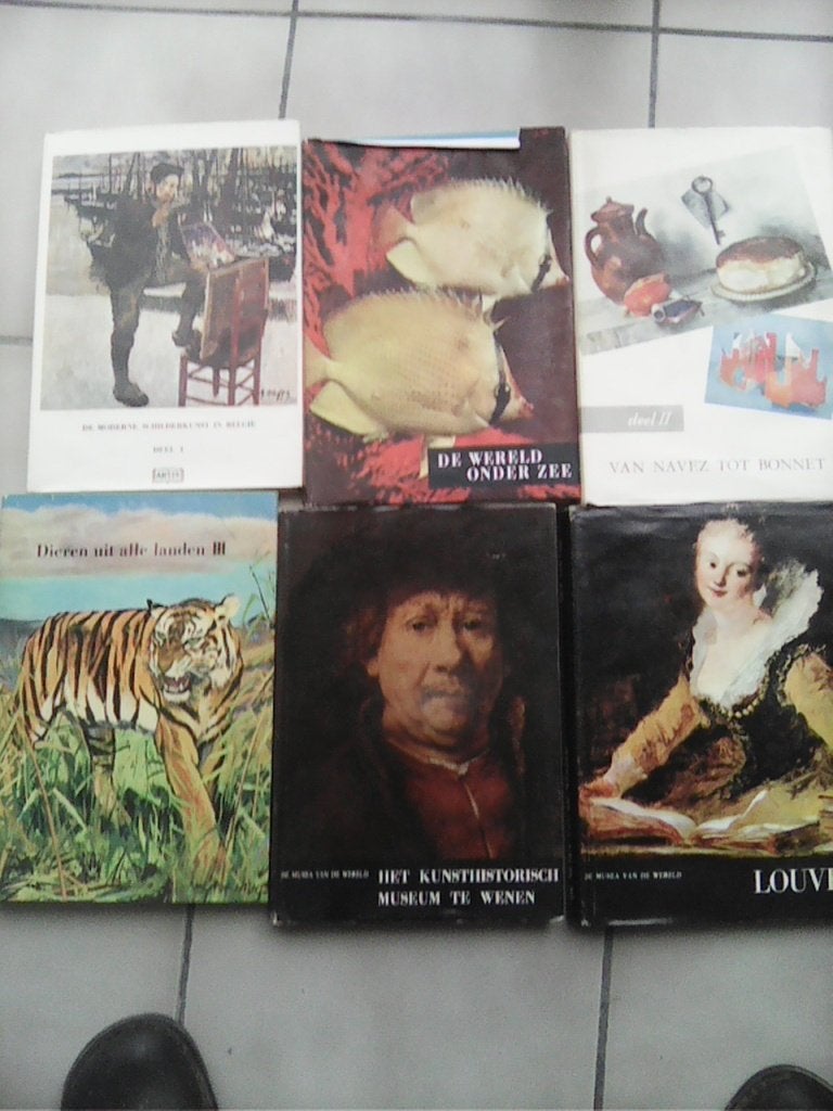 Boeken, Antiek en Kunst, Ophalen of Verzenden