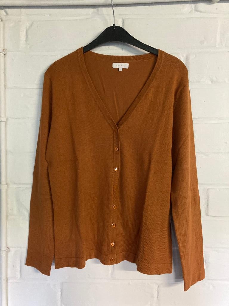Roestkleurige cardigan, Bel & Bo, maat : large prima staat, Taille 42/44 (L), Enlèvement ou Envoi, Autres couleurs, Bel & Bo
