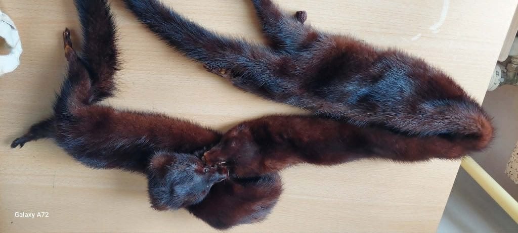 Nerts sjaal, Kleding | Dames, Ophalen of Verzenden, Gedragen, Sjaal