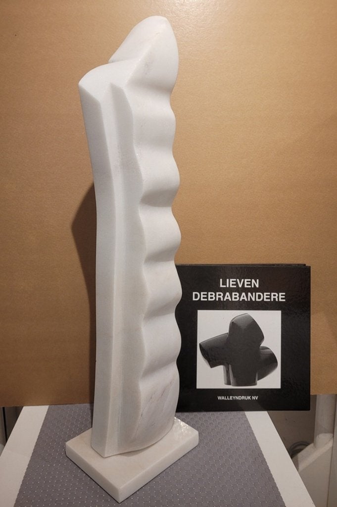 Lieven DEBRABANDERE, deining in steen, Pierre ou céramique, Abstrait, Enlèvement, Marqué