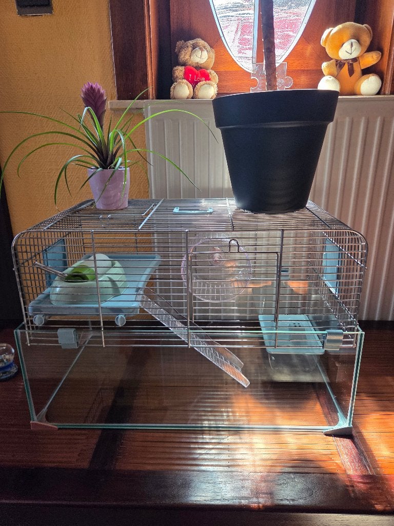 Mooie en grote kooi op 2 niveaus, Kooi, Minder dan 75 cm, Zo goed als nieuw, Hamster