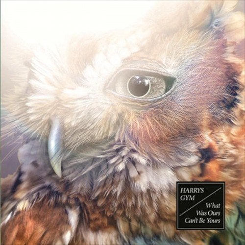 SALE--CD HARRYS GYM-What Was Ours Can't Be Yours, Verzenden