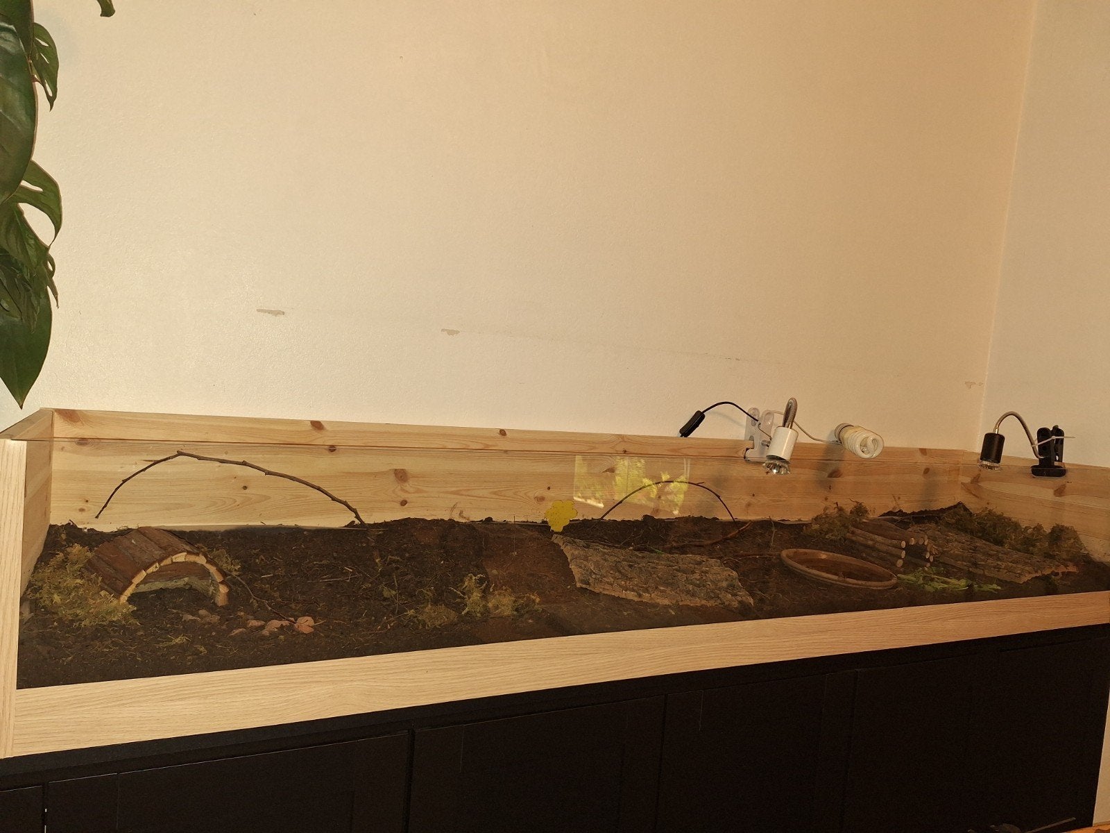 Terrarium fait maison (200x40x30cm), Animaux & Accessoires