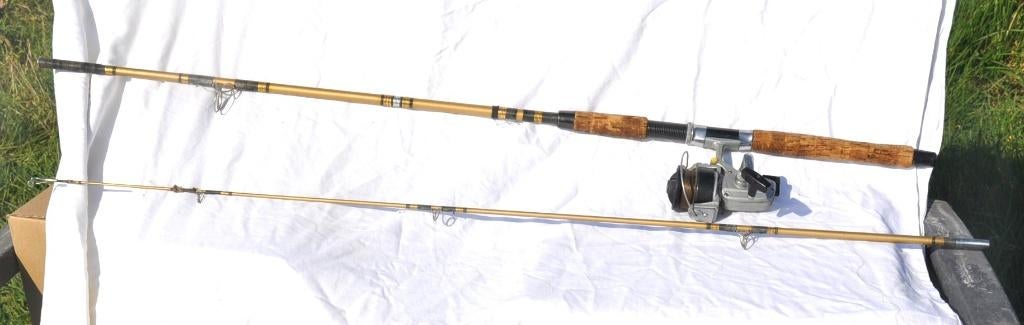 canne a peche au lancer avec moulinet eurofish (2), Watersport en Boten, Hengelsport | Algemeen, Ophalen, Gebruikt, Complete hengel