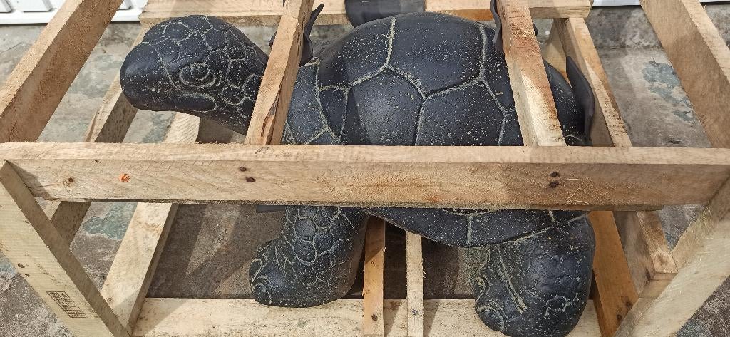 schildpad in steen, Ophalen, Nieuw, Steen, Dierenbeeld