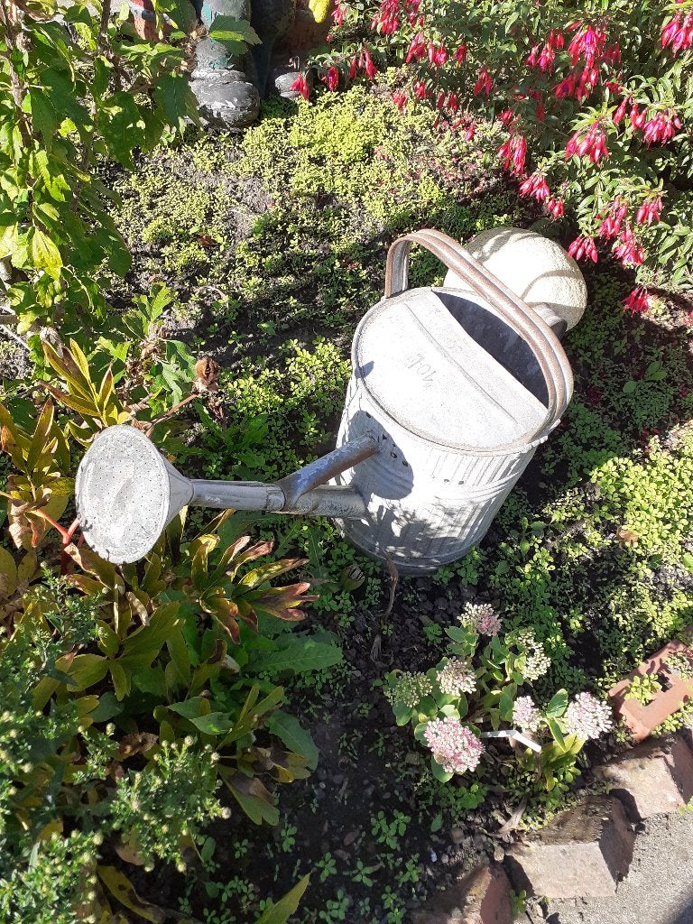 Arrosoir galvanisé, Jardin & Terrasse, Enlèvement, Utilisé, Autres matériaux