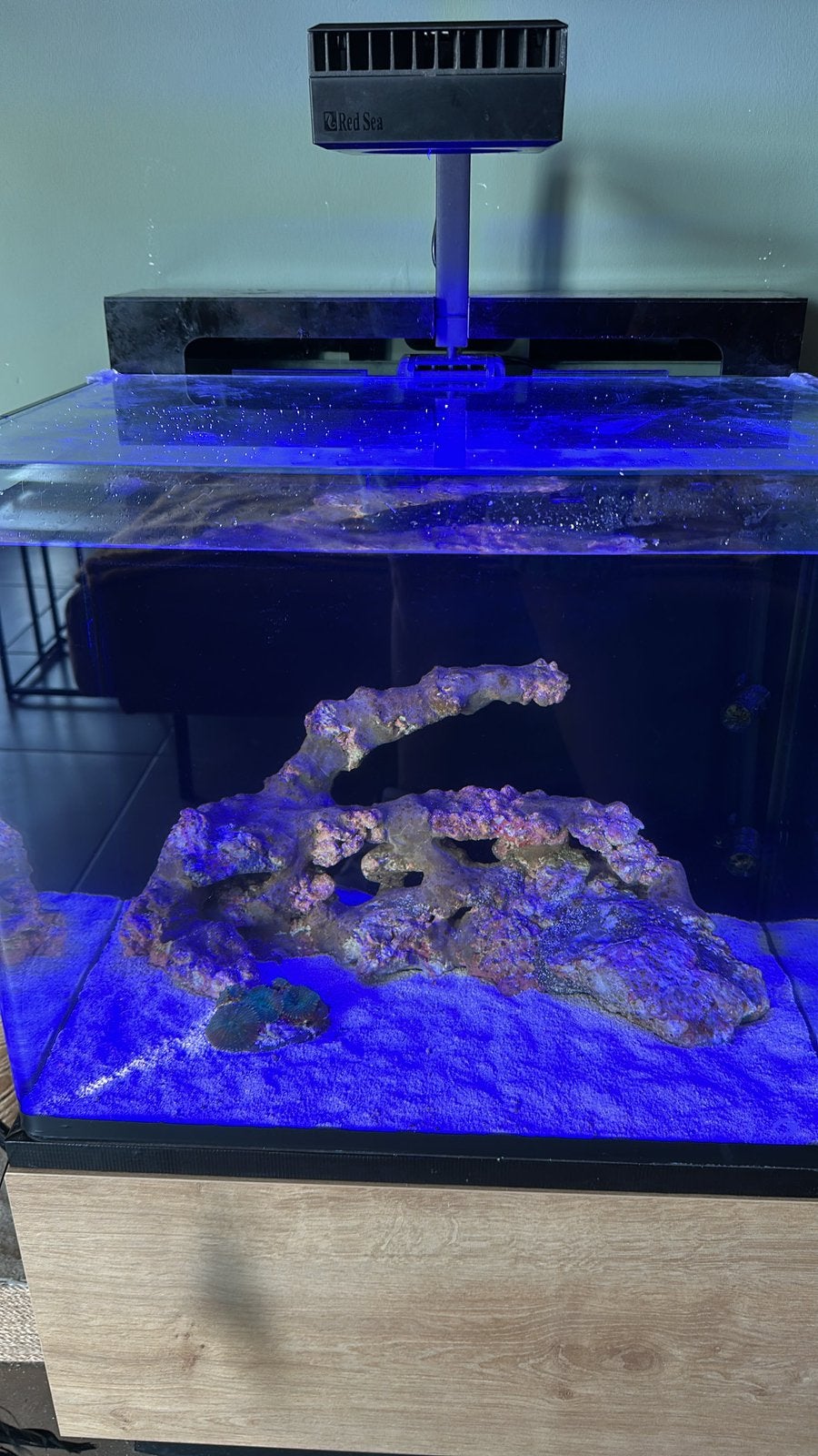 Zeeaquarium Blue Marine 90, Enlèvement, Comme neuf, Blue Marine