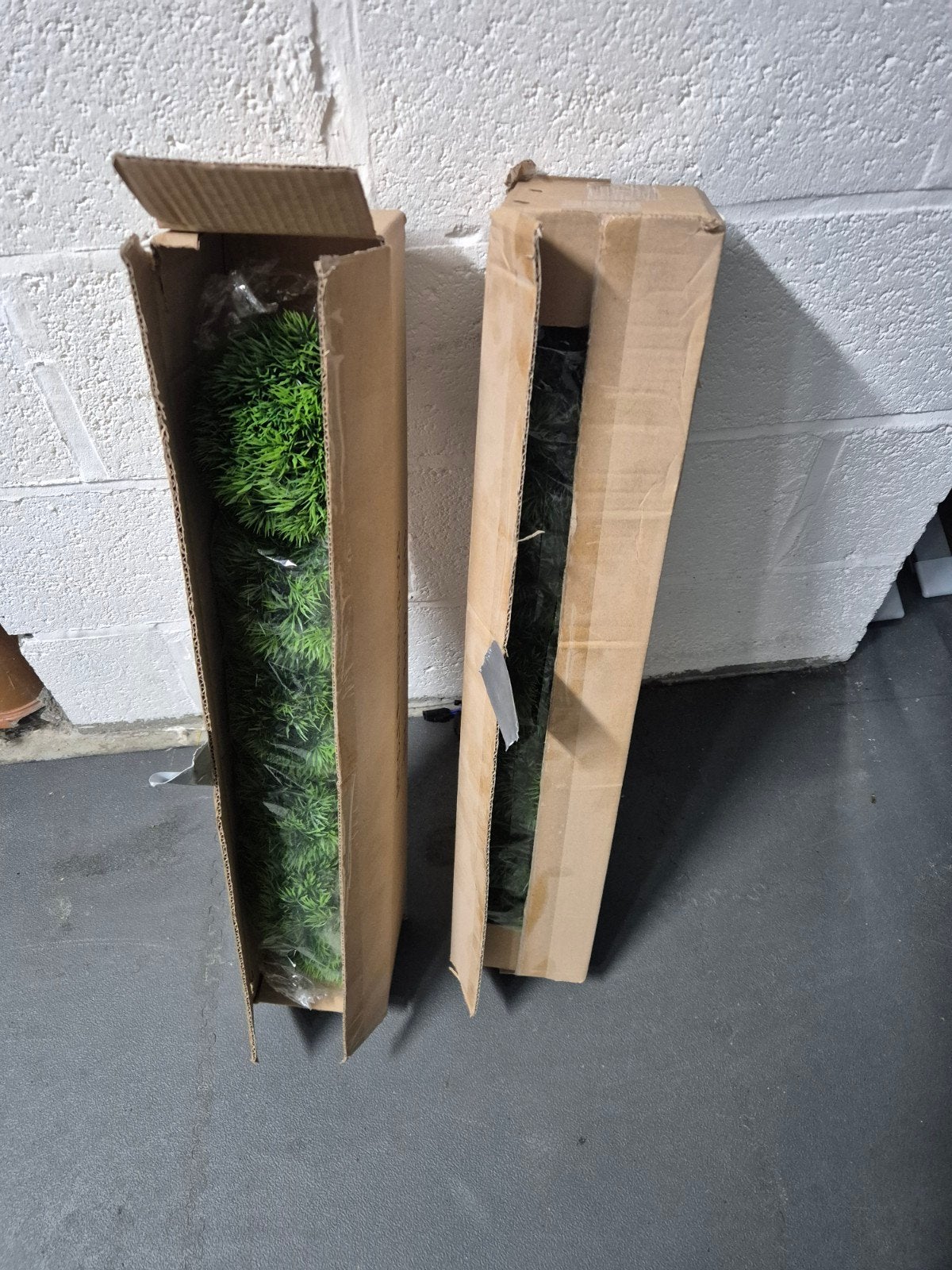 nep buxus bollen, Enlèvement ou Envoi