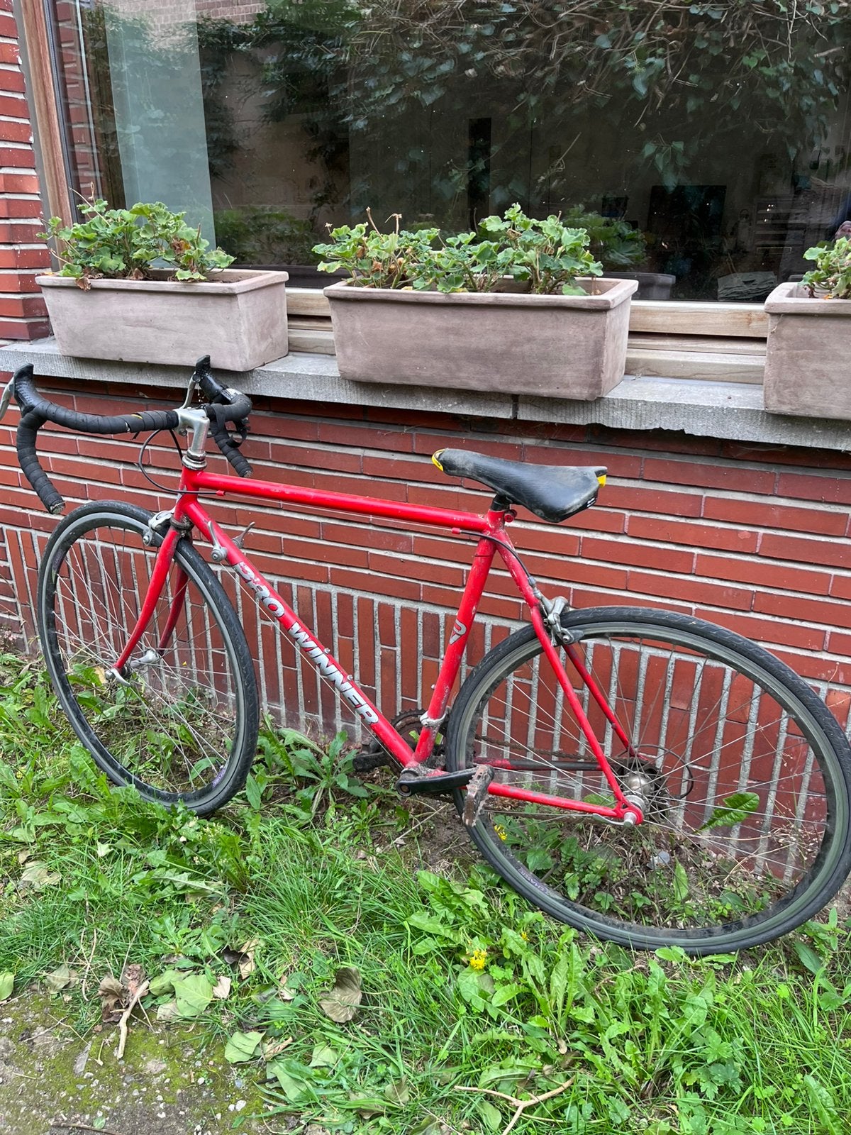 Koersfiets, Fietsen en Brommers, Ophalen