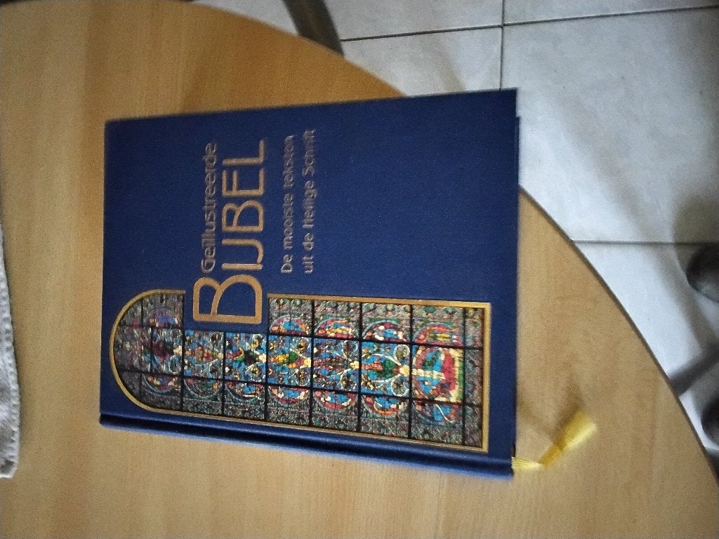 Boeken de bijbel, Ophalen, Zo goed als nieuw, Christendom | Katholiek