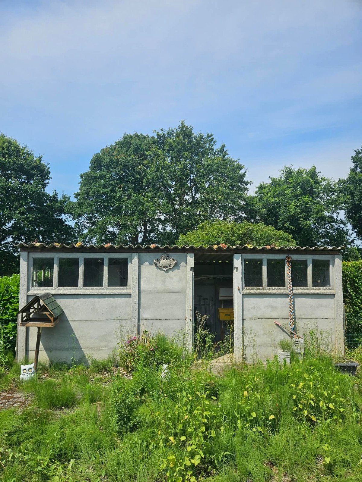 Platen kot gratis ophalen in morkhoven 2 m op 6 m, Ophalen