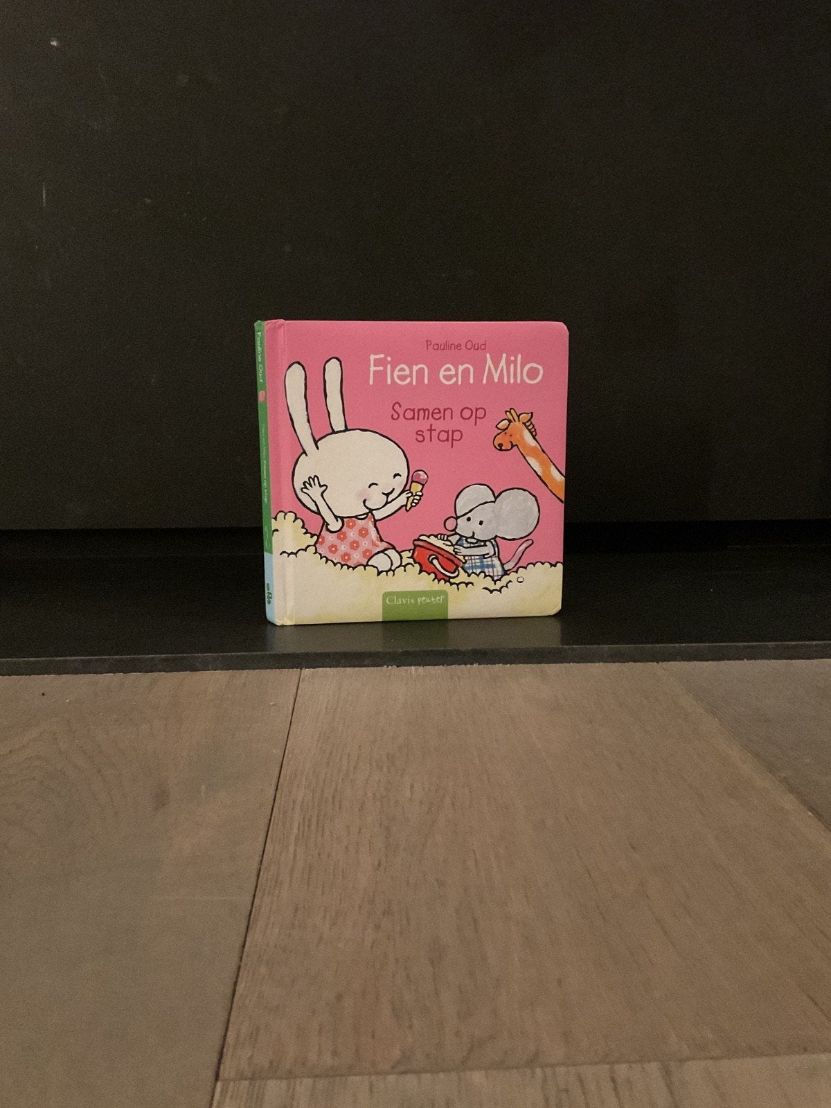 Boek van Fien en Milo, Boeken, Ophalen