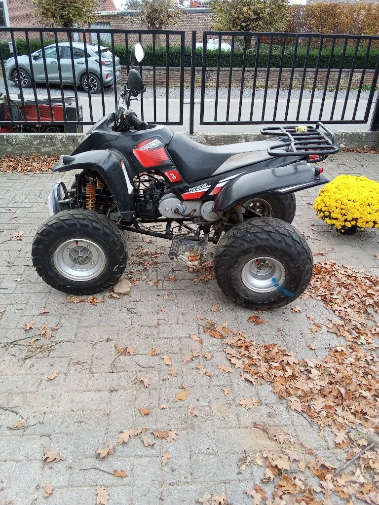 quad 50cc, 50 cm³