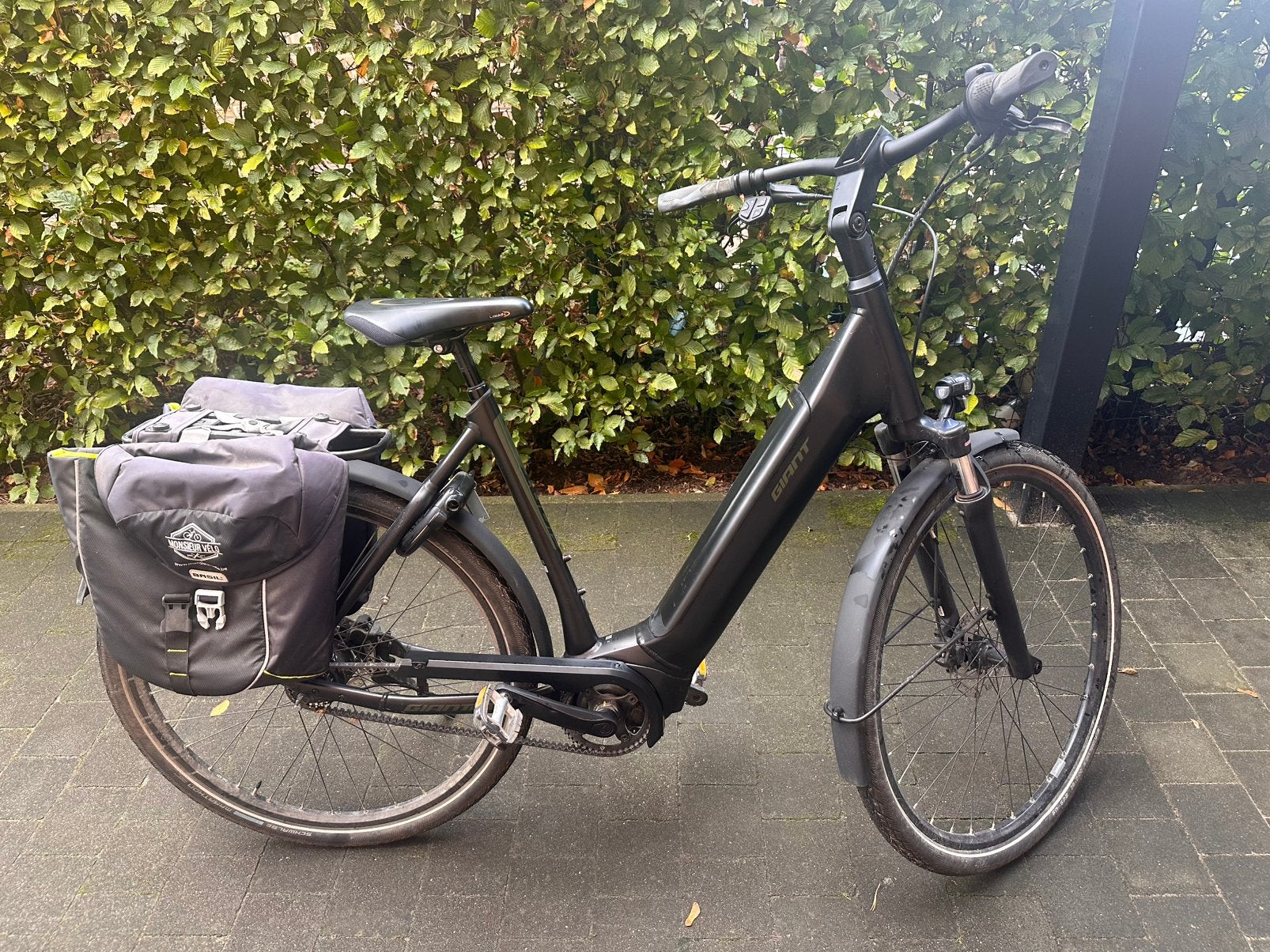 Giant Dailytour E+ 2 BD LDS 924km, Ophalen, Zo goed als nieuw, Giant