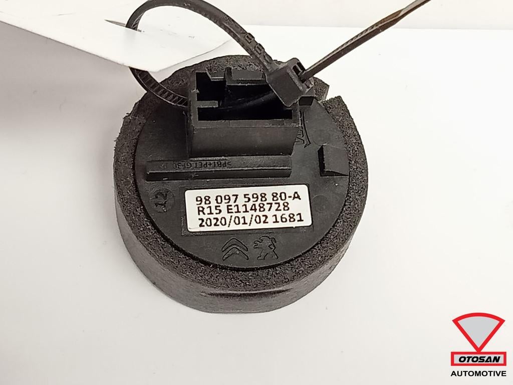 Opel Corsa F 2019+ Keyless Entry Antenne 9809759880, Auto-onderdelen, Gebruikt, Opel Automobile GmbH, Kontakt@opel-infoservice.de