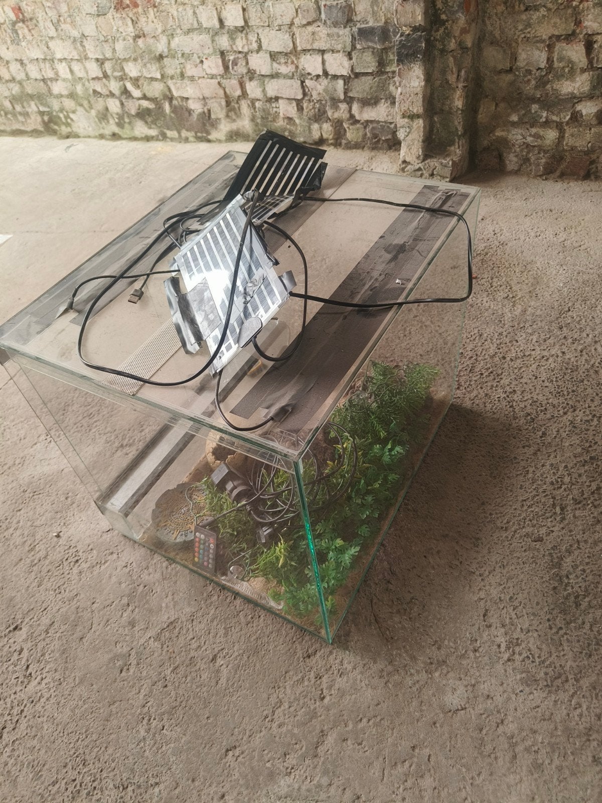 terrarium te koop, Maison & Meubles, Armoires | Étagères à chaussures, Enlèvement