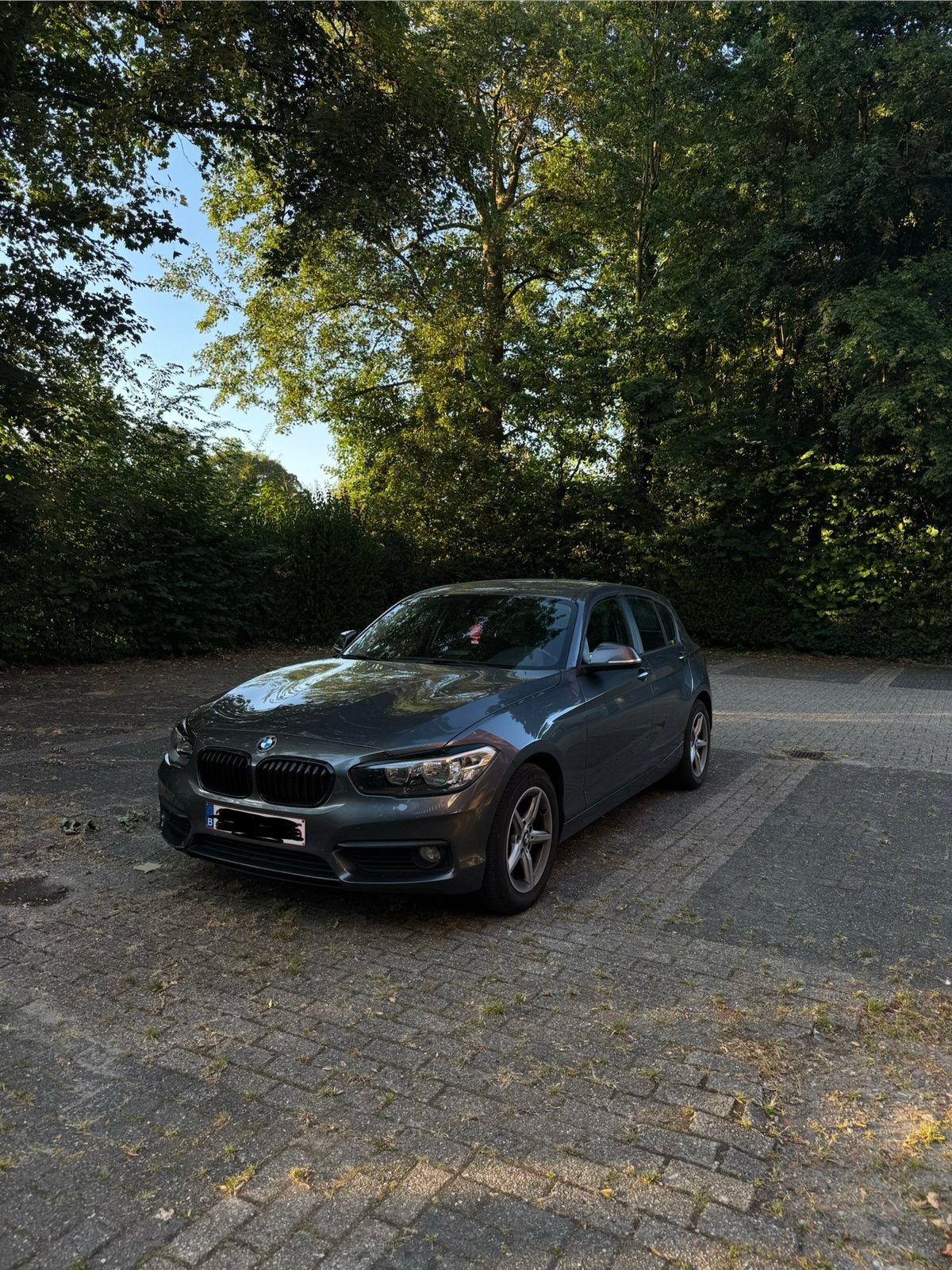 BMW 116d automatique, Argent ou Gris, Achat, Euro 6, 1445 kg